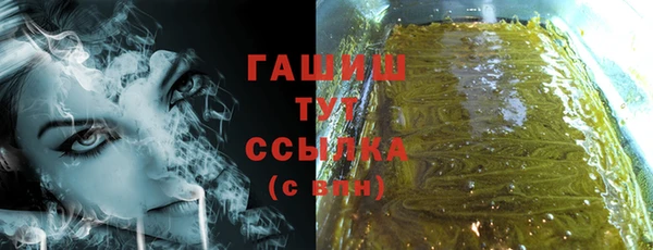 дживик Гатчина