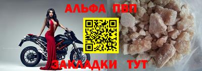 шишки Кимры