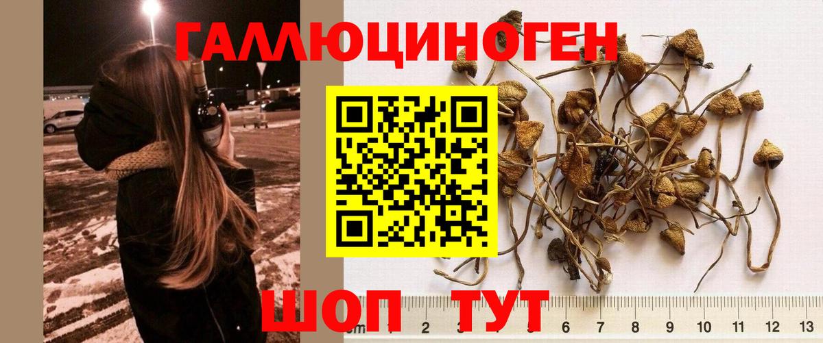 Псилоцибиновые грибы Magic Shrooms Лесной