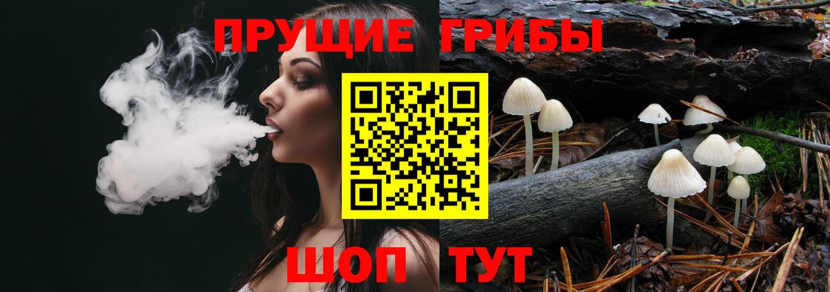 Лесной  Галлюциногенные грибы ЛСД  Вход с VPN 