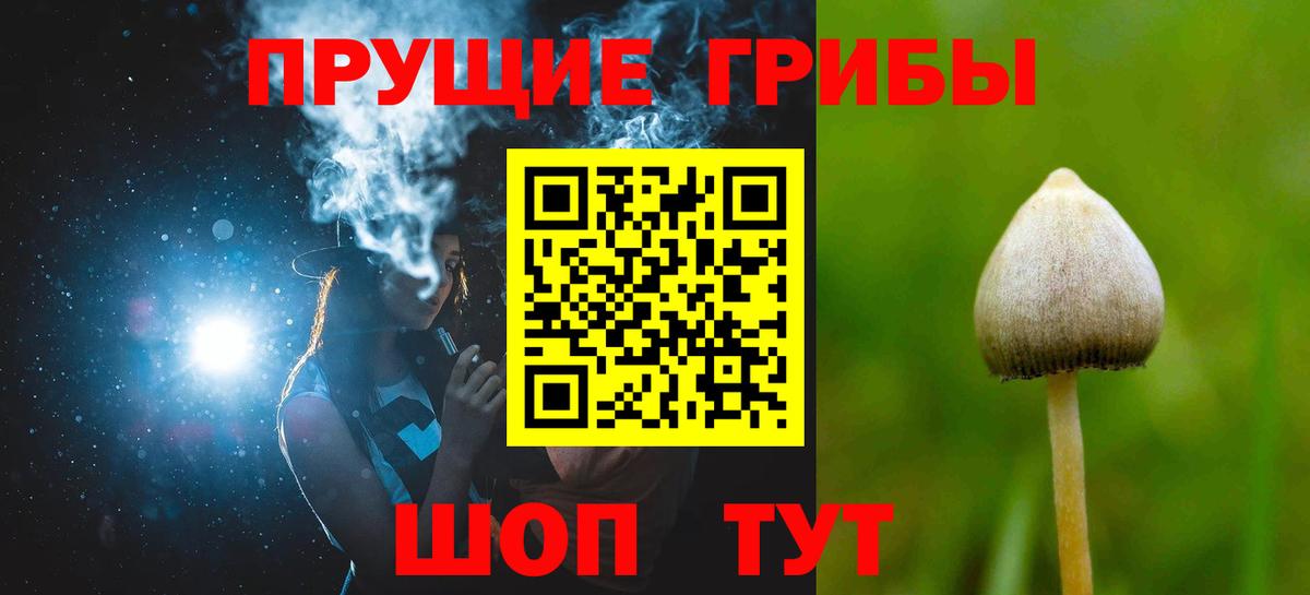 Псилоцибиновые грибы GOLDEN TEACHER  Лесной  купить закладку  Псилоцибиновые грибы GOLDEN TEACHER 